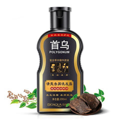 Polygonum  Anti-Dandruff Shampoo